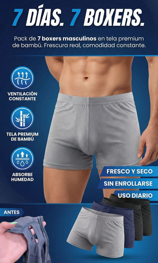 Boxer premiun x7unid